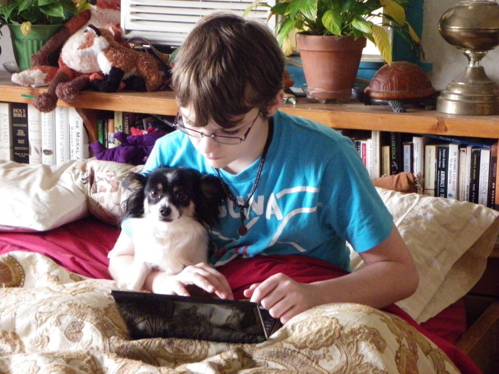 Peggy Moran dog training enrollment Peggy Moran dog training enrollment