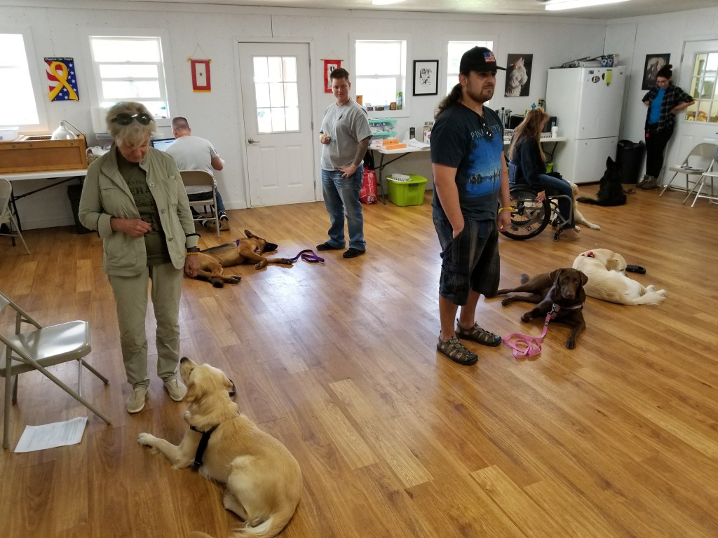 Group dog training at Peggy Moran's School for Dogs, LLC Group dog training at Peggy Moran's School for Dogs, LLC