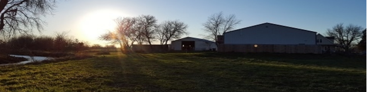 home banner (1)